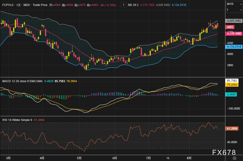 技术指标发出“黄牌警告”:棕榈油高位回调,是趋势终结还是多头蓄力?(图2) 技术指标发出“黄牌警告”:棕榈油高位回调,是趋势终结还是多头蓄力?(图2)